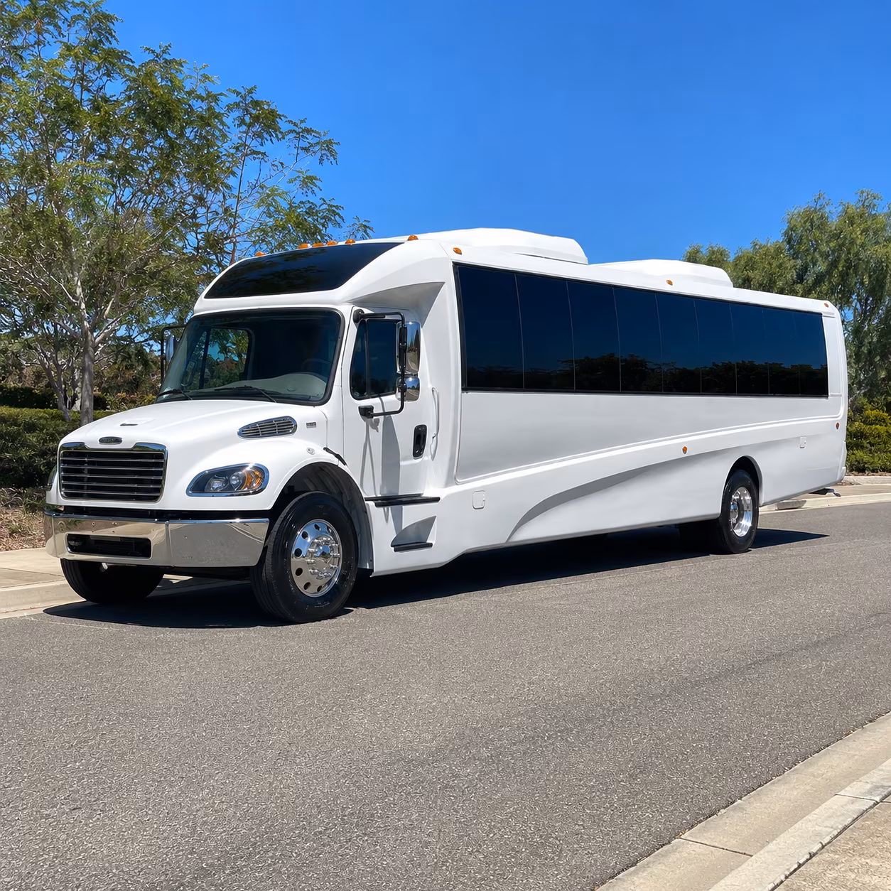 mesquite 18 passenger minibus