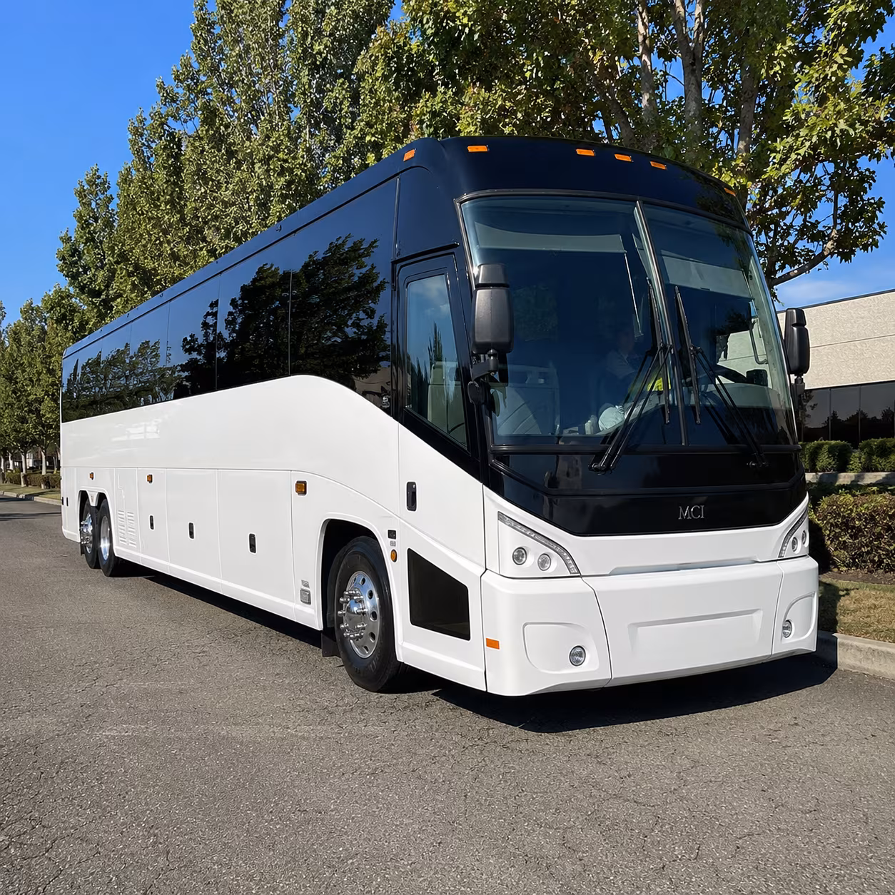 mesquite 50 passenger charter bus