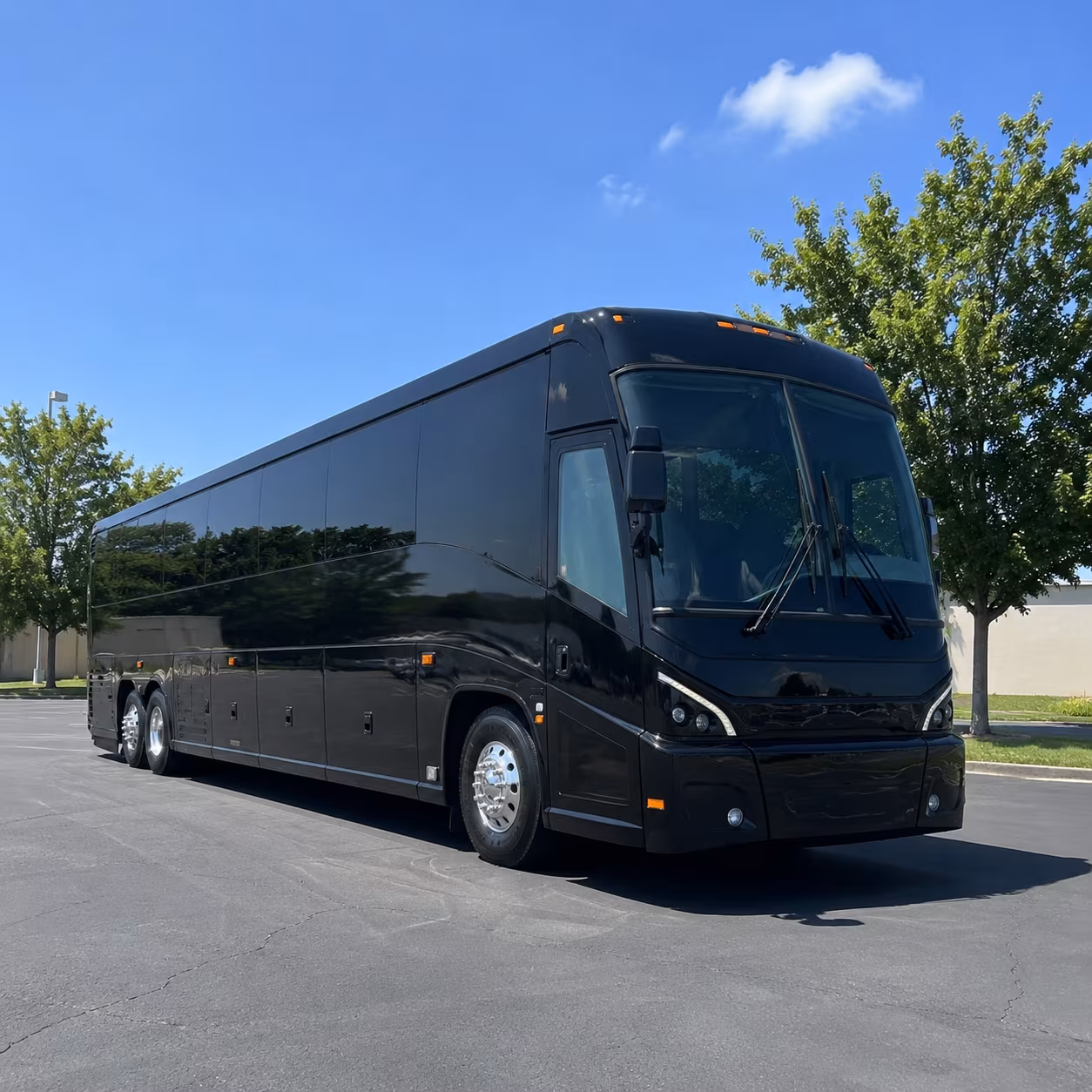 mesquite 56 passenger charter bus
