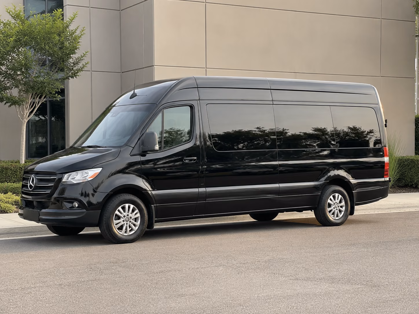mesquite sprinter van with driver